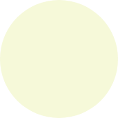 Ellipse 29