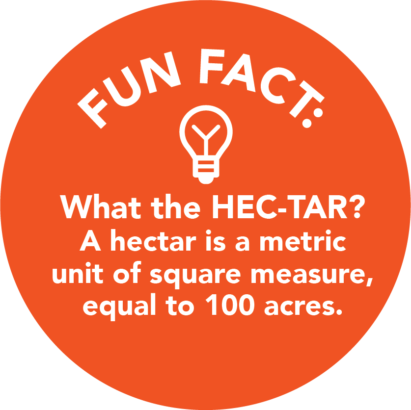 Hectar - 072020